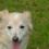 WP2test's picture