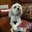 carlosalbertoquiroga's picture